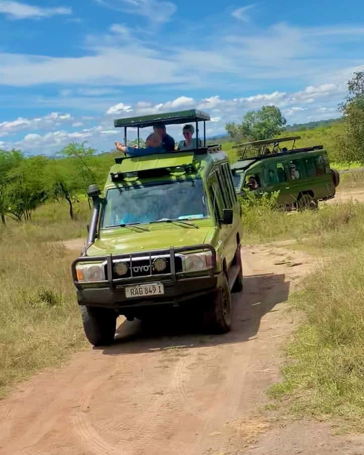 From Kigali: Akagera National Park Safari game drive - Entering Akagera and finding the first animals