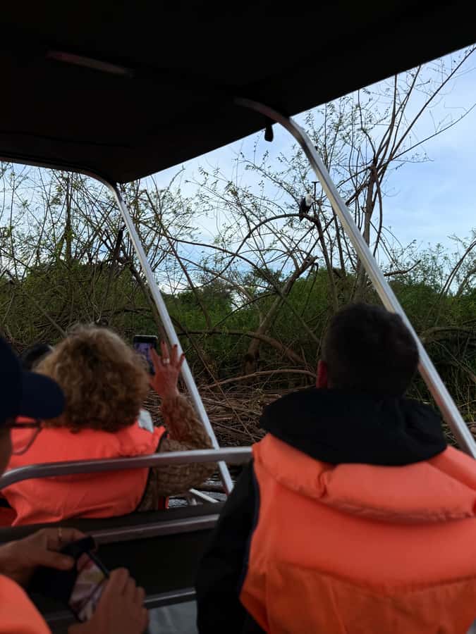 From Kigali: Akagera National Park Safari game drive - Lunch beside the water