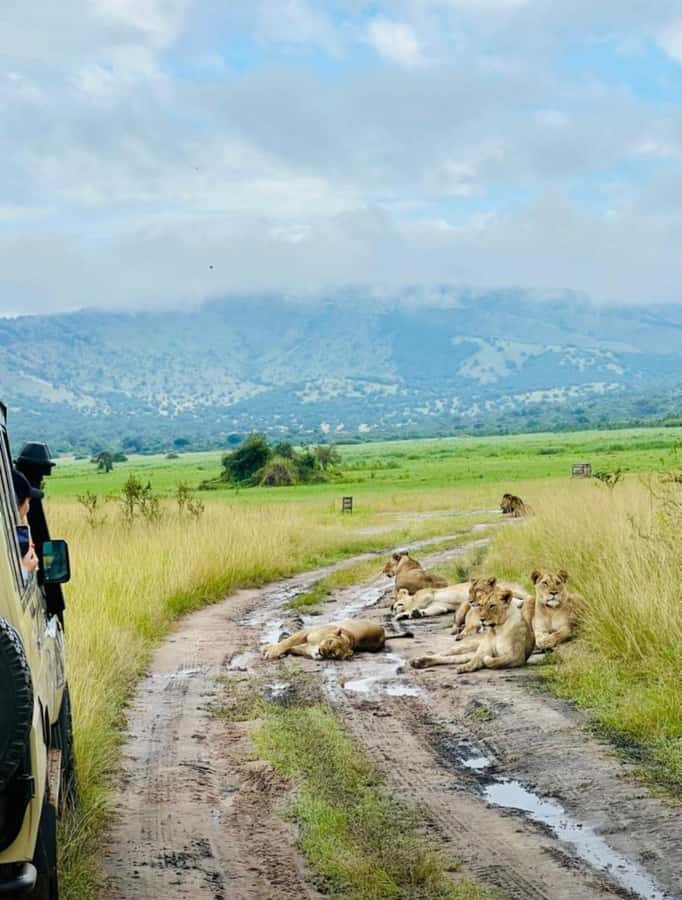From Kigali: Akagera National Park Safari game drive - What the $199 price really covers