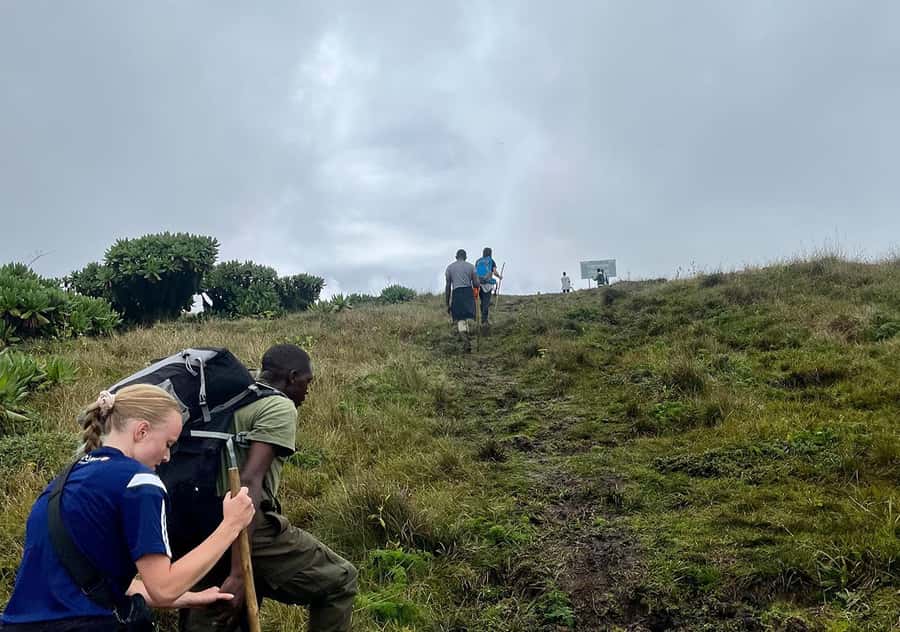 From Kigali: Bisoke Summit Trek, Crater Lake 1 Day Safari - Lunch Beside the Crater Lake