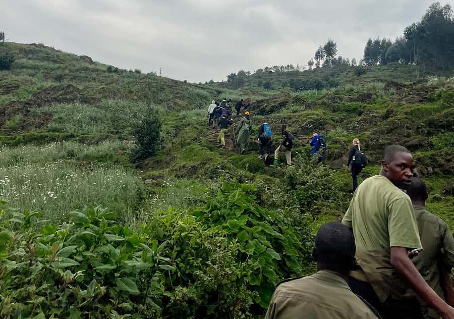From Kigali: Bisoke Summit Trek, Crater Lake 1 Day Safari - The Two-Hour Descent and Return to Kigali