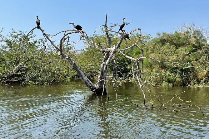 Full Day Akagera National Park Game Drive and Boat Safari - Who should book this safari
