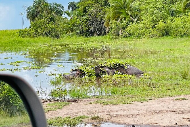 Full Day Akagera National Park Game Drive and Boat Safari - The Imigongo Art Center stop