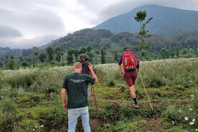 Full day Mt. Bisoke hike - Key Points at a Glance