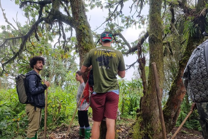 Full day Mt. Bisoke hike - A Packed Lunch Makes the Timing Easier