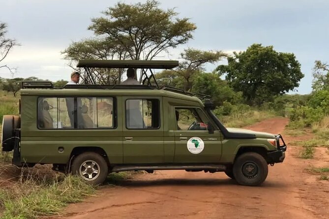 Full-Day Private Safari of Akagera National Park with Lunch - A useful halfway stop at Imigongo Art Center