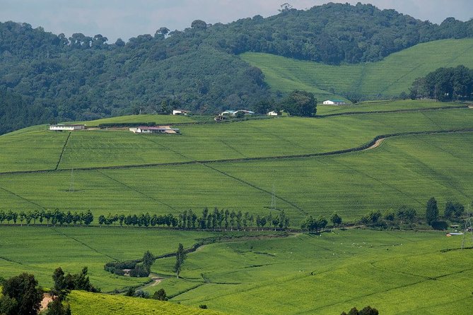 Gisenyi city tour - Mount Rubavu and its wartime story