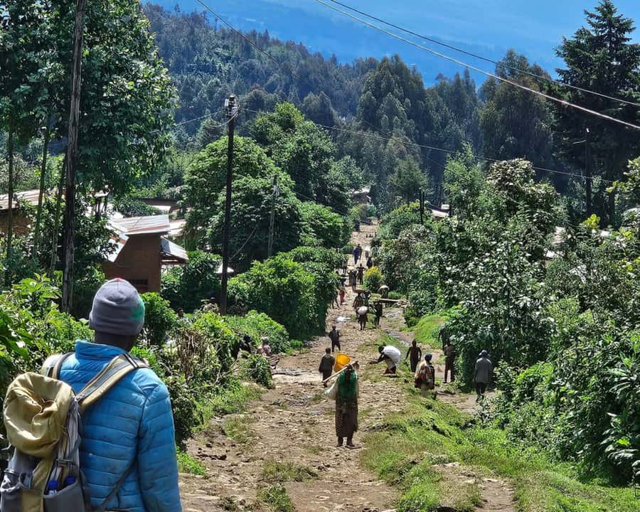 Golden Monkey Trekking with lunch - The early road to Volcanoes National Park
