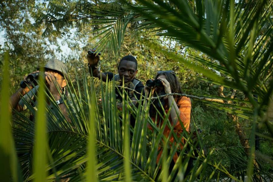 Kigali Eco Park Bird Watching Experience - Why Nyandungu is an appealing birding stop in Kigali