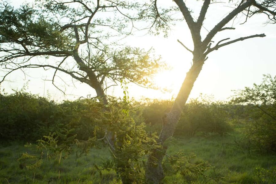 Kigali Eco Park Bird Watching Experience - Who will enjoy this experience most?