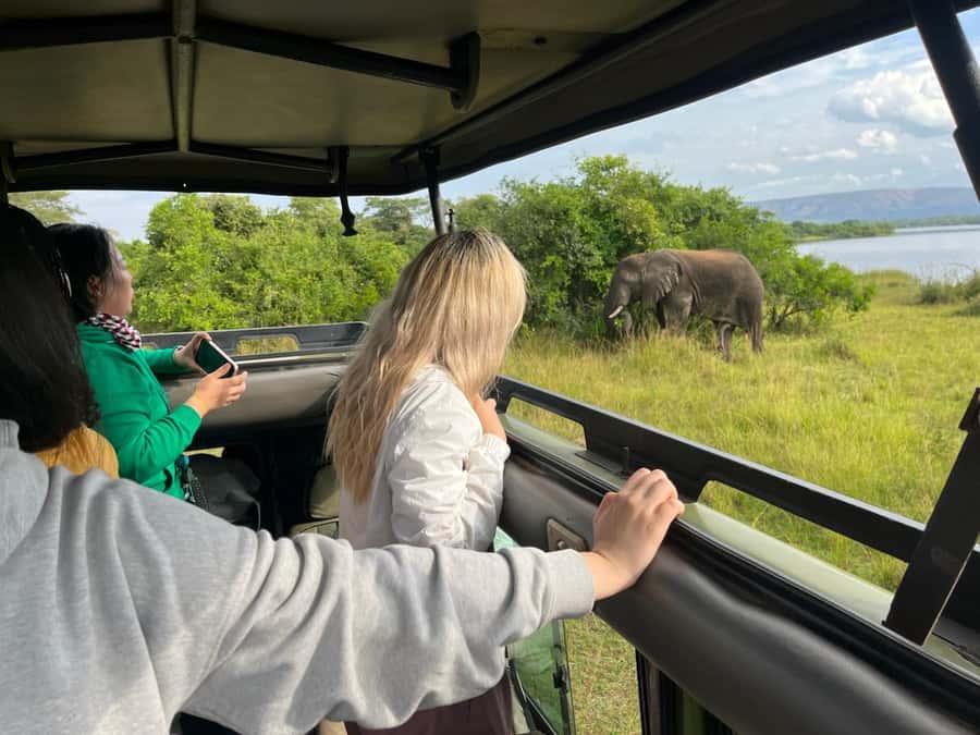 Kigali: Full-Day Akagera Safari + Optional Boat Ride - Key points to know before booking