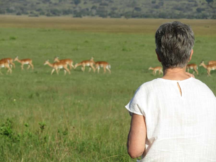 Kigali: Full-Day Akagera Safari + Optional Boat Ride - The second three-hour game drive
