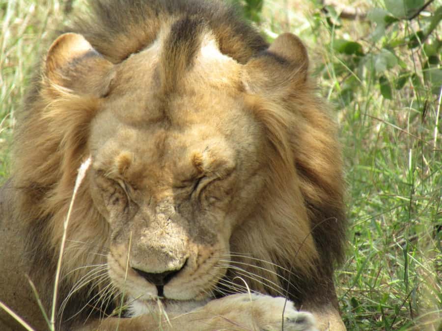 Kigali: Full-Day Akagera Safari + Optional Boat Ride - What the $200 price really covers