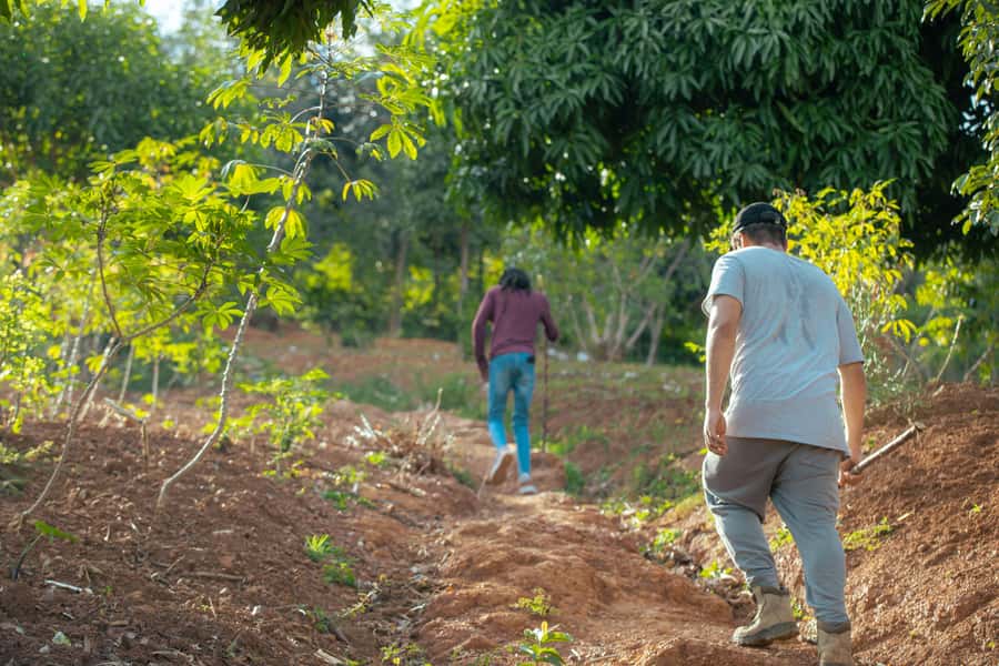 Kigali: Gatsata Village Storytelling Walk to Mount Jali - Who should book this experience?