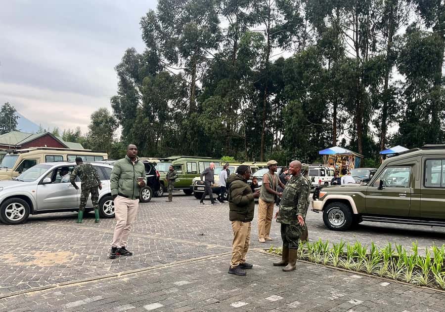 Kigali: Rwanda Gorilla Tracking in Volcanoes National Park - One hour with a mountain gorilla family