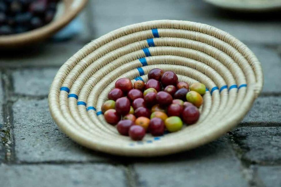 Kigali: Traditional Coffee Experience ( Bean to Brew) - How Long the Activity Really Takes