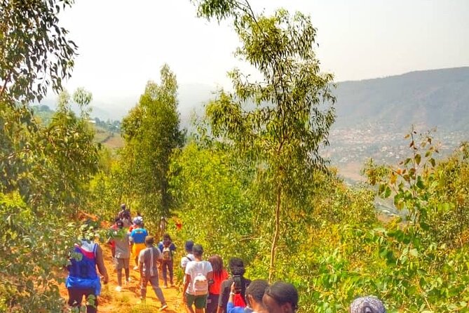 Local Community Tour(Cultural, Coffee,Village walk,Local food) - Walking through the village