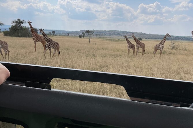 One Day Akagera Wildlife Safari - Entering Akagera’s savannah and wetlands