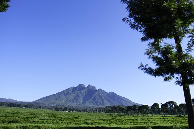 One Day Mount Bisoke Hike Adventure Tour in Volcanoes Park - Six hours in Volcanoes National Park