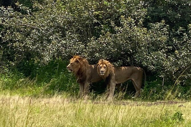 One Day Private Tour to Akagera National Park from Kigali - Key points to know before booking