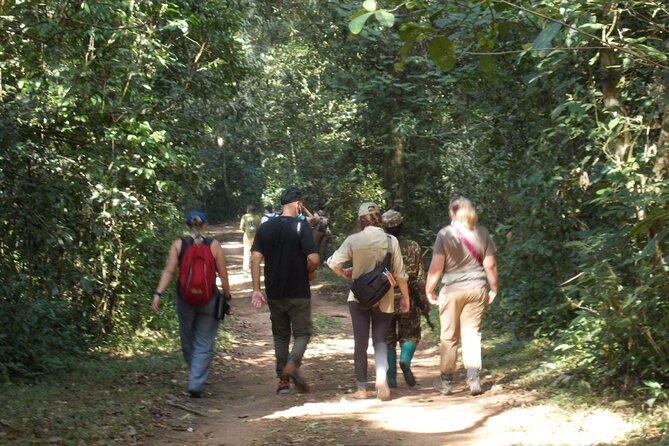 Private 2 Days Volcano Golden Monkey and Bwindi Gorilla Trek - Day 2: Searching for gorillas in Bwindi