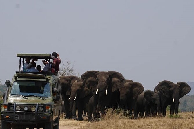 Private Full-Day Tour Akagera Game Drive - Key points to know before booking
