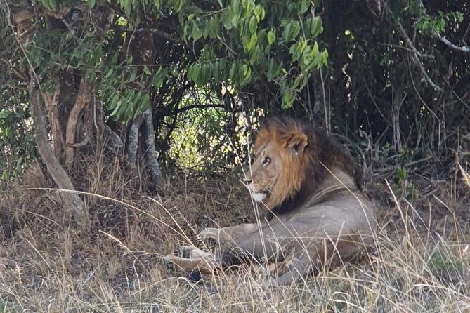 Private Full-Day Tour Akagera Game Drive - Six hours of game viewing, with real safari uncertainty