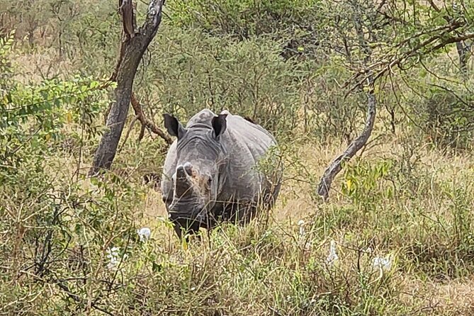 Private Full-Day Tour Akagera Game Drive - Booking timing, cancellation, and weather