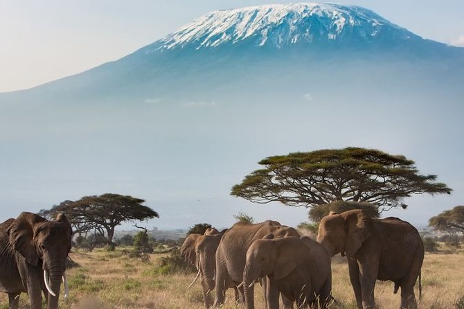 Private Transfer from Kigali Airport (KGL) to Kigali - Choosing the right vehicle for your group