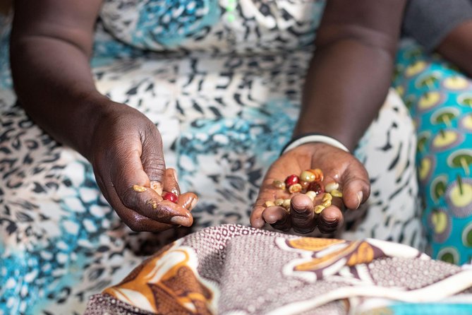 Rwandan Coffee Experience - Choosing between water collection and kitchen work