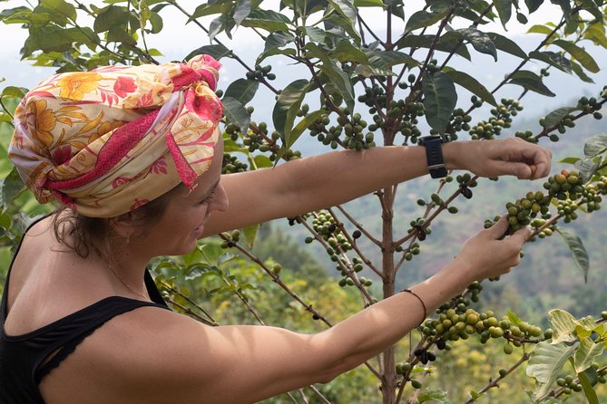 Rwandan Coffee Experience - Hand roasting and grinding the dried coffee