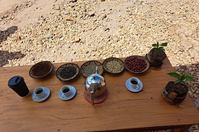 Tea and coffee tours - Guides Make the Difference