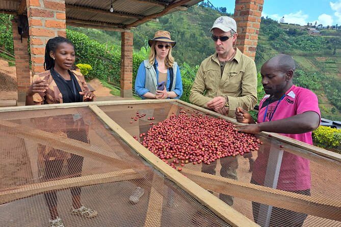 Tea and coffee tours - Lake Kivu Gives the Morning a Wider View