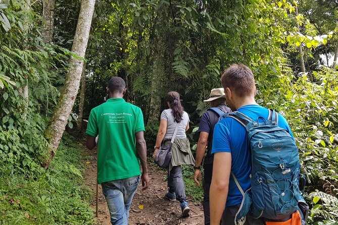 Three-day Nyungwe Canopy and Kivu Lake Adventure - Day one: walking into Nyungwe’s rainforest