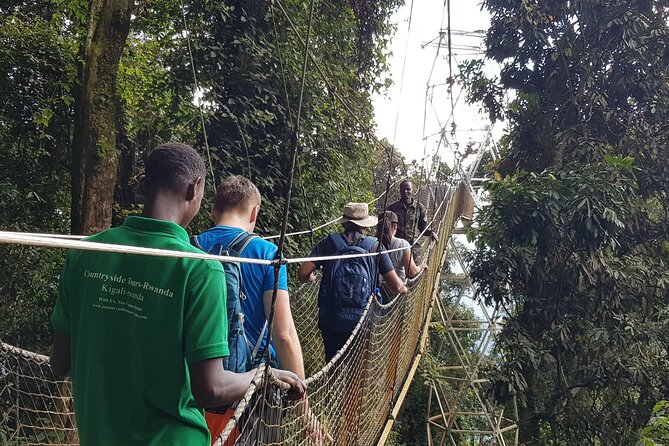 Three-day Nyungwe Canopy and Kivu Lake Adventure - Day two: island views across Lake Kivu
