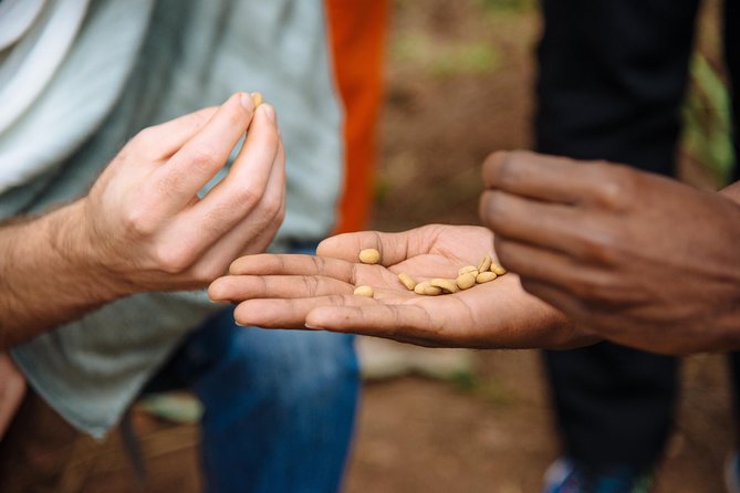 Women-led Coffee Farm Trek - Meeting the women farmers through song and dance